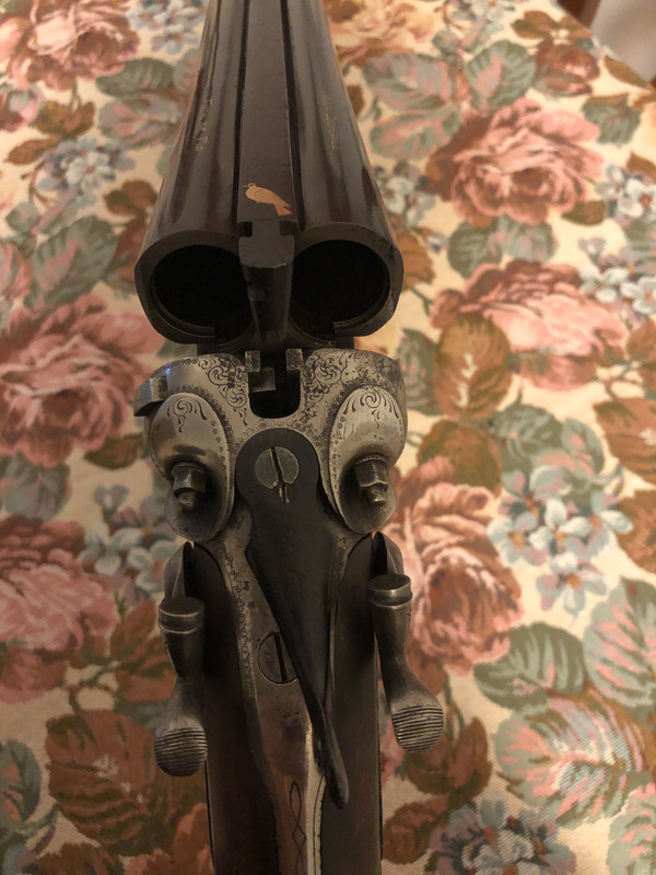 5C774AC3-0D0B-4DDA-9A44-5A17F96B3131