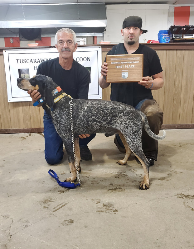 Ukc bluetick stud sales dogs