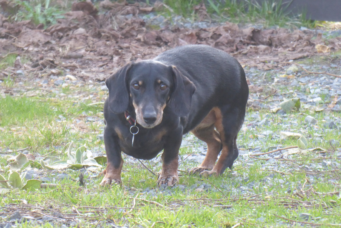 [Image: P1040666.jpg]