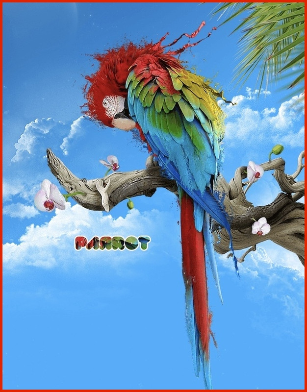 8F13C063-77FB-4FBA-8BF5-B0BC5B5BEF1E