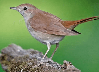 Capture d’écran 2024-05-04 140404