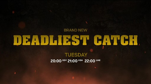 Discovery HD English (9)