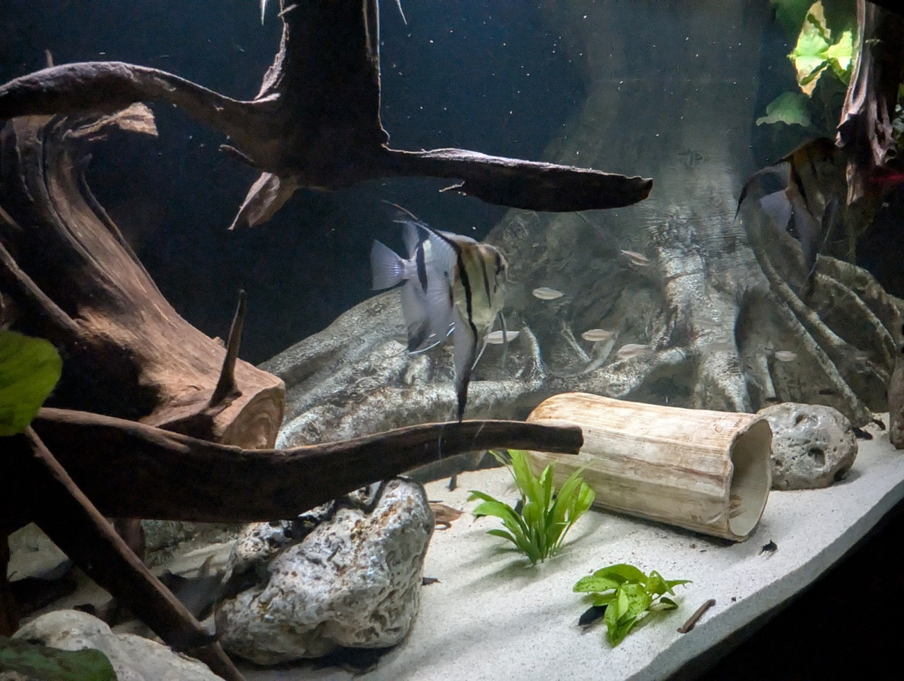 PXL 20251227 193824282 RAW 01 COVER