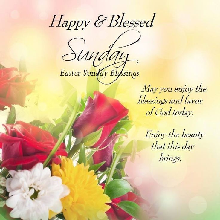 f27349b5173b037dcab595dc51030900-blessed-sunday-quotes-have-a-blessed-sunday