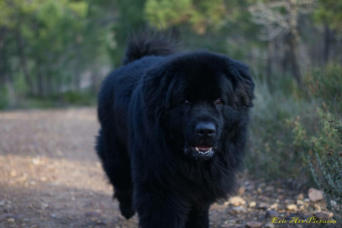 28336714_10156084476926069_2669292605389714790_o