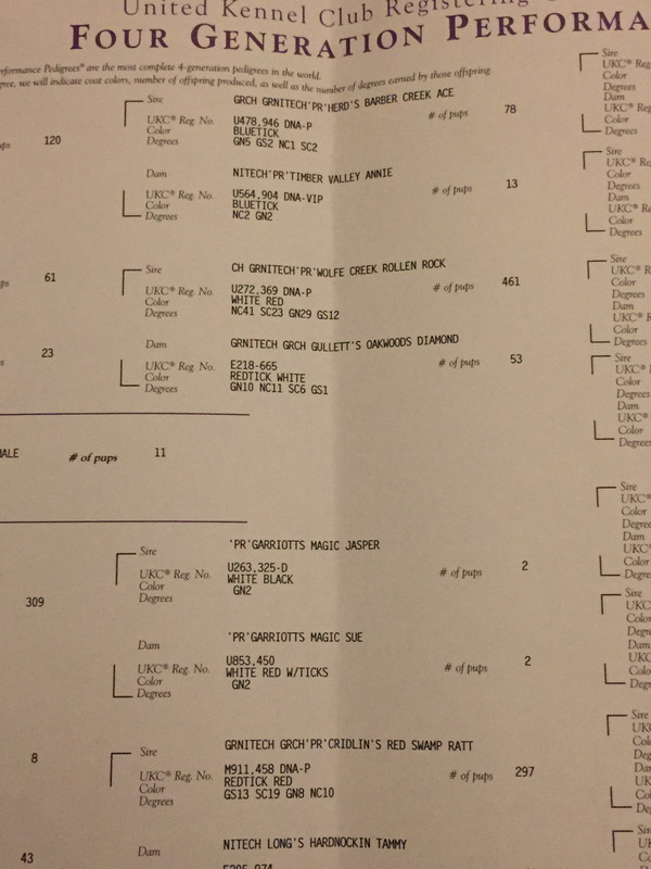 333EDFAD-F7F1-4C18-ACB8-4C68EDF2CBBB