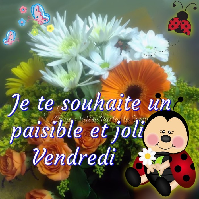 https://i.postimg.cc/R0yF9yhh/vendredi-167momo2021.jpg