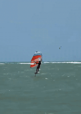 wx.gif