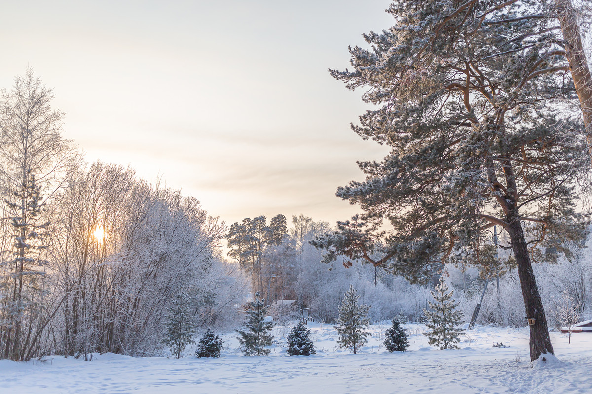 20221231-E09A4354(2)