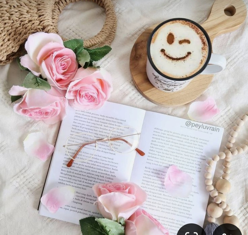 Screenshot_20240712_123638_Pinterest