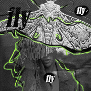 https://i.postimg.cc/R0yVnbTX/fff.png