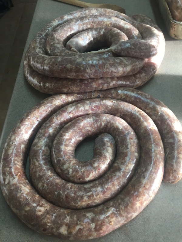 EC937D50-BB0C-40F3-94F1-84A8586B26D1