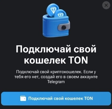 article content image