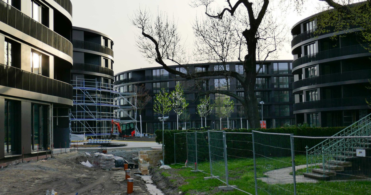 Bild: https://i.postimg.cc/R0ysYRQC/P1190450.jpg