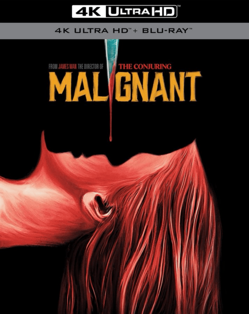 Wcielenie / Malignant (2021) UHD.BluRay.2160p.HEVC.DTS-HD.MA5.1-MTeam / POLSKI LEKTOR i NAPISY