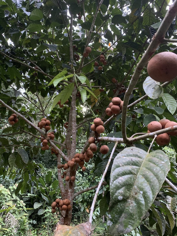 57E051A8-D026-4D3E-8A2D-8692D1D1165F