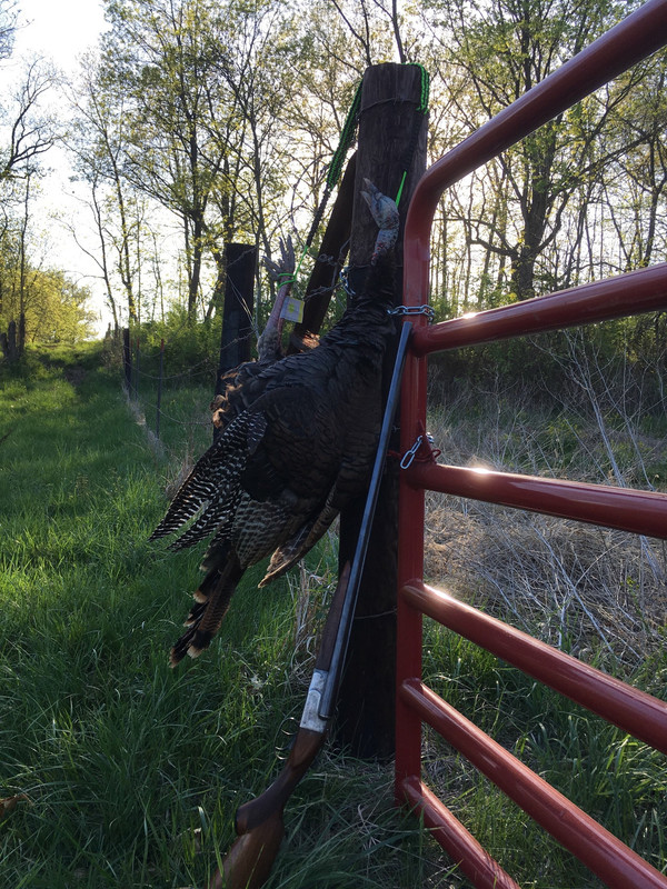 595E5EA4-10F6-43D7-942E-758162FA39B1