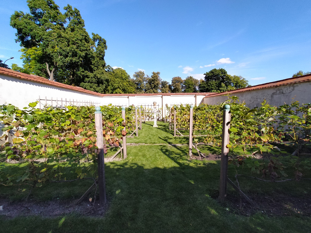 007 - IMG20210904160319