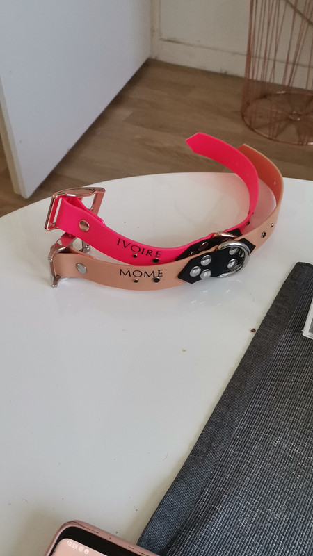 [Image: IMG-20221022-WA0000.jpg]