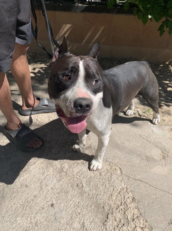 Снимок экрана 2024-05-25 в 20.51.36