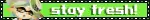IMG-9523.webp