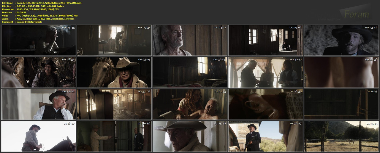 Gone-Are-The-Days-2018-720p-Blu-Ray-x264-YTS-AM-mp4.jpg