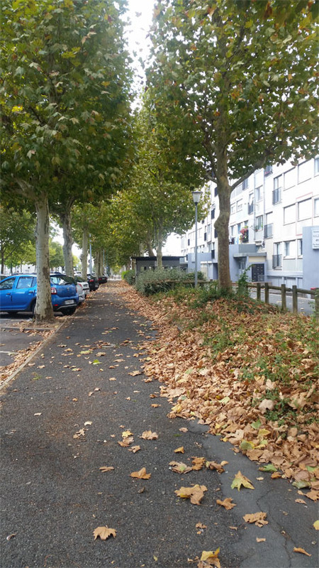 [Image: y20180924_150535.jpg]