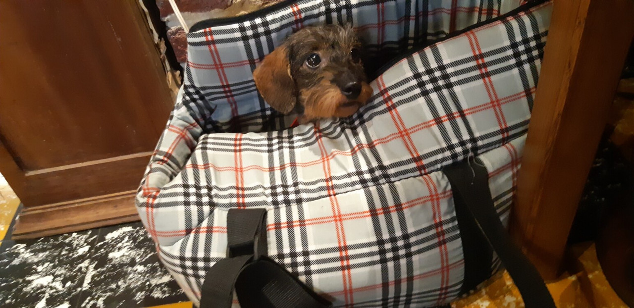 [Image: Resized-20221127-125853.jpg]