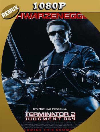 Terminator 2: Judgment Day (1991) Remux [1080p] [Latino] [GoogleDrive] [RangerRojo]
