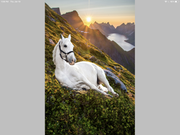 C43A46FF-938C-4E8A-9E76-67C033BD9380