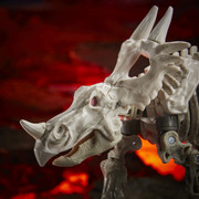 F0674-Deluxe-Ractonite-002