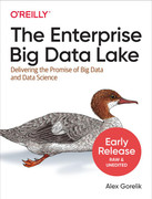 [Image: The-Enterprise-Big-Data-Lake.jpg]
