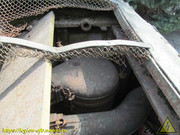 IMG-5678