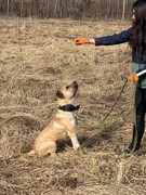 IMG_20230416_173402_686