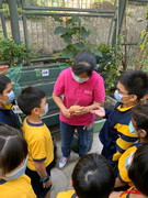 photo-littlefarmer2223-2B-003