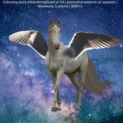 F326E470-802B-435E-8988-B436B1C44234-min