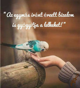 https://i.postimg.cc/R3QgFsLR/417380839-788162746659854-2263893634474524196-n.jpg