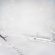 Christmas-Dreams-Papers-2