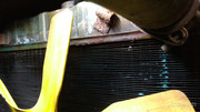 P-20210222-190036-p.jpg
