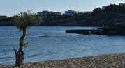 Paradise-(10)