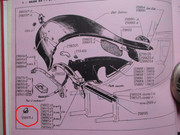 IMG-3662-3.jpg
