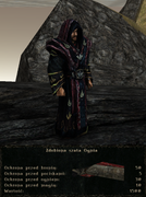 pancerze i ubrania (16)