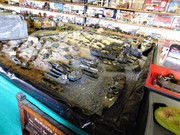 DSCN0746.jpg