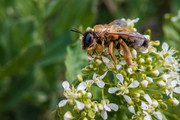 IMG-20190424-132948