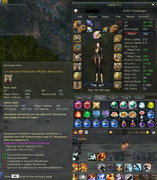 pvp-eq11