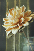 imagegraphic-2