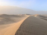 220122_Sug_Demo-DeathValley_CC_i010109