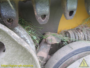 IMG-7783