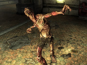 FO3-feral-ghoul.jpg