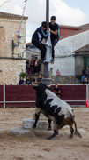 IMG-0090
